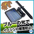 LED通せんぼBIG