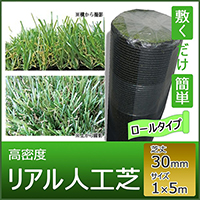 ���A���l�H�Ł@�ŏ�30mm 1m�~5m �����ʐ^�P