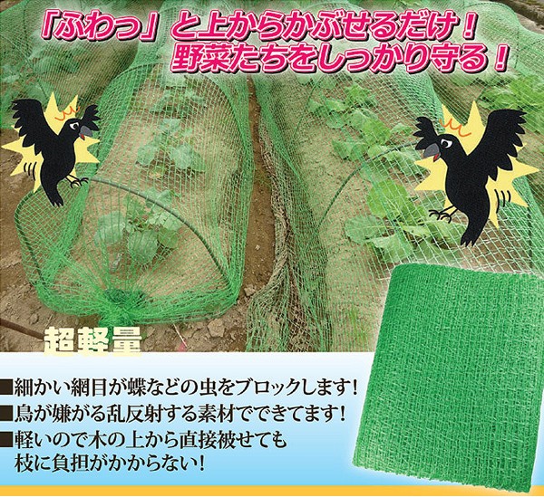 ふんわりネット2×5m アンカーピン10本セットの商品画像