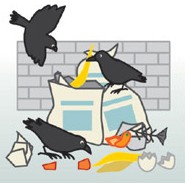 カラスなぜ逃げる どこでも取付タイプ Tyn害獣鳥対策研究会が開発したカラス撃退グッズ あっと解消 本店 カラスなぜ逃げる どこでも取付タイプ Tyn害獣鳥対策研究会が開発したカラス撃退グッズ あっと解消 本店