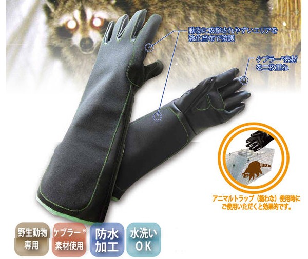 t@[GCW veNVO[ȕi摜