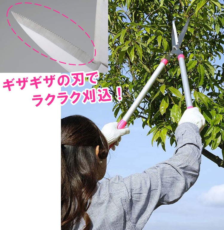 ギザ刃でラクラク! 刈込ハサミの商品画像