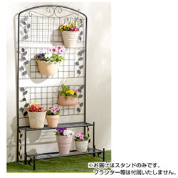 �t�F���X�t���t�����[�X�^���h�@2�i �����ʐ^�P