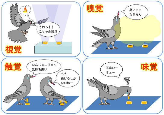 �o�[�h�N�����l�I 200g�̏��i����