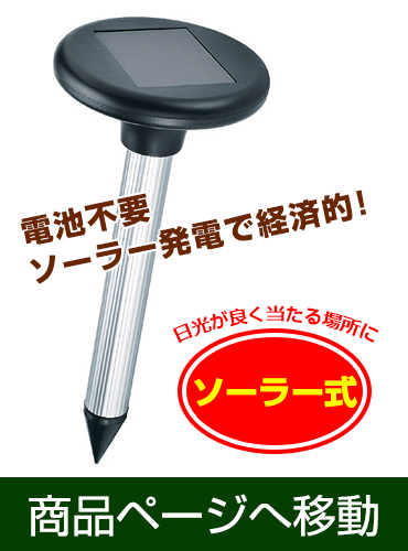 O쏜ɌʓI@猂ފ