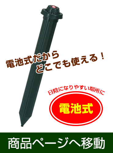 O쏜ɌʓI@猂ފ
