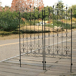 �N���h�~���� �����ʐ^�P