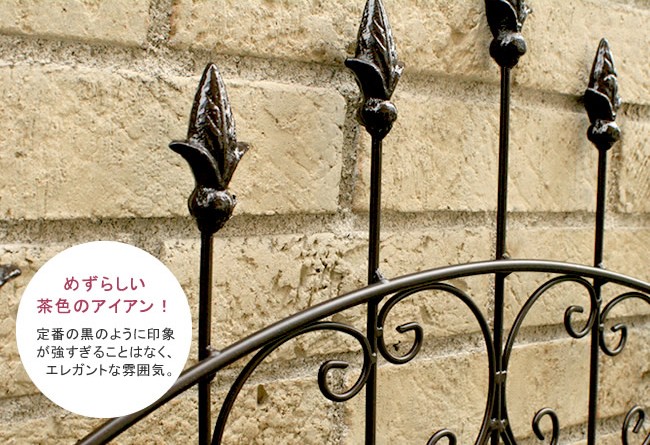 �A�C�A���t�F���X ���[�Y150�@���F�̃A�C�A��