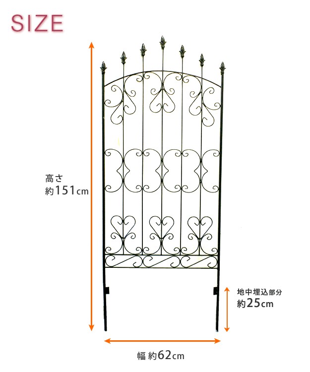 �A�C�A���t�F���X ���[�Y150�@�T�C�Y