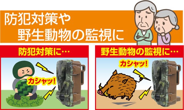 hƂ̏i摜