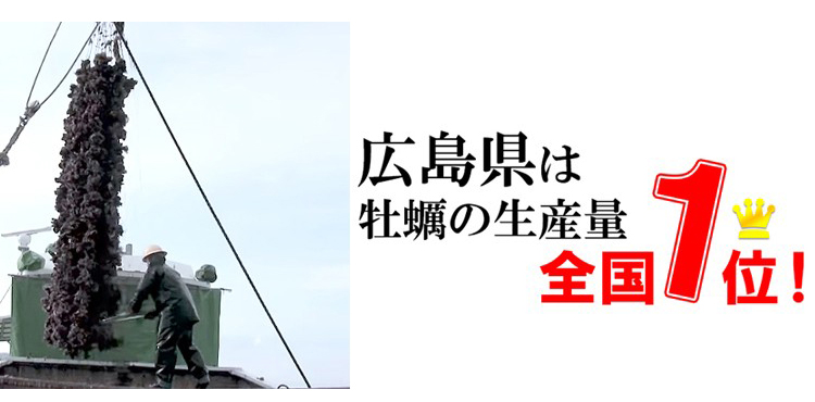 広島県産 冷凍カキフライ 35g×32粒の商品説明