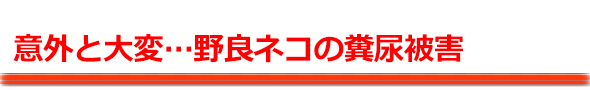ӊOƑςȃlR΍