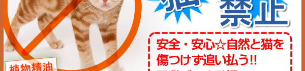 2284円 2021人気の 野良猫忌避剤 野良猫シャット 300g×3本 ベタベタした不快感と特殊成分の香りがネコを寄せつけません