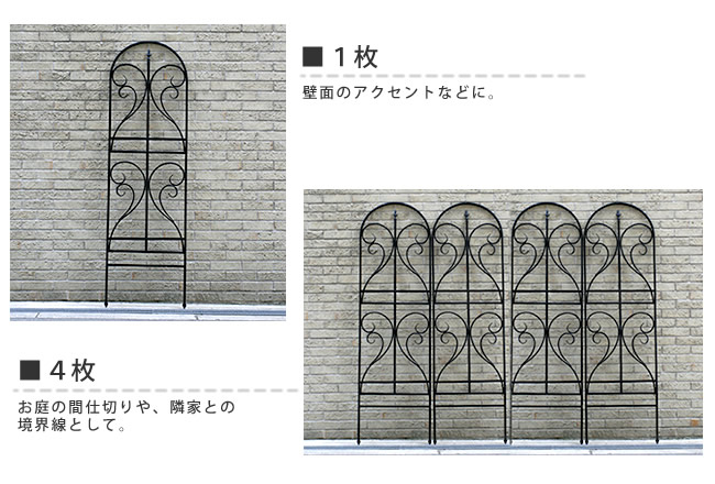 ACAgX 155cm@1`4̏ꍇ