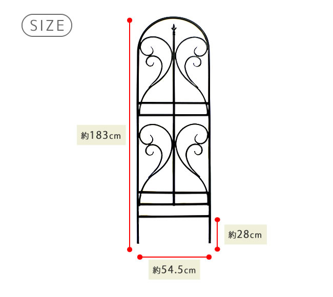 ACAgX 155cm@TCY