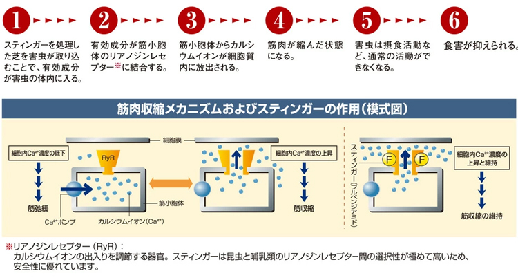 スティンガーフロアブルの作用メカニズム