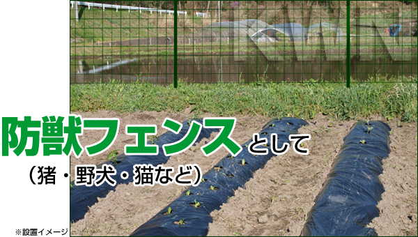 簡単金網フェンス イノシシ対策・野良犬対策・猫対策などのフェンスとして