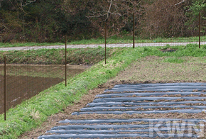 簡単金網フェンス改良型　農地