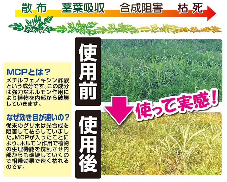 根まで枯らす液体除草剤