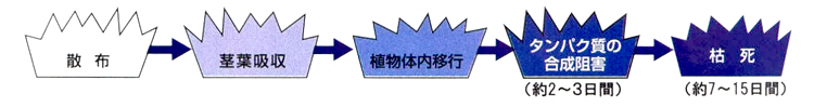 効果イメージ