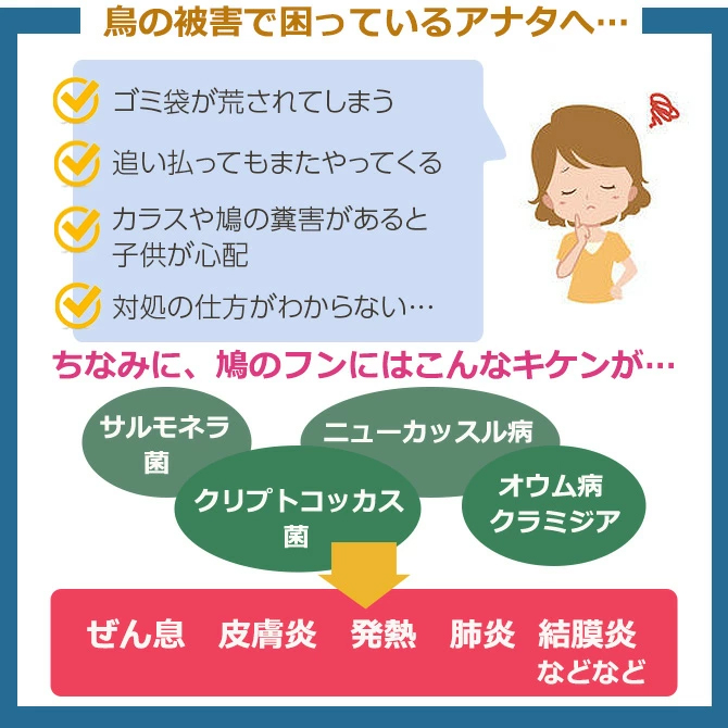 鳥の被害でお困りのかたに