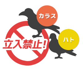 カラス・鳩・ムクドリ対策