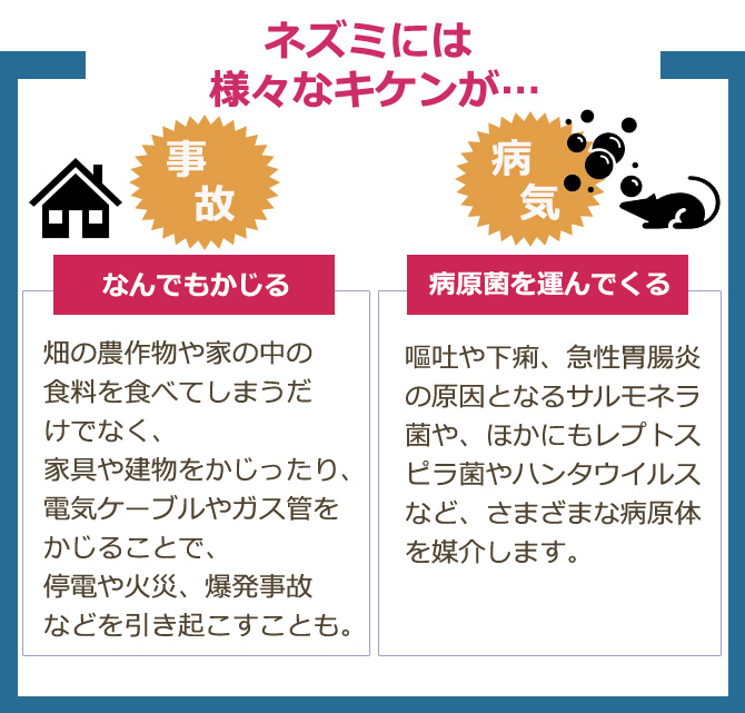ネズミの被害でお困りの方に