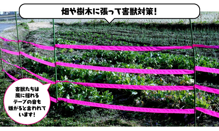 ������؂ɒ����ĊQ�b�΍�