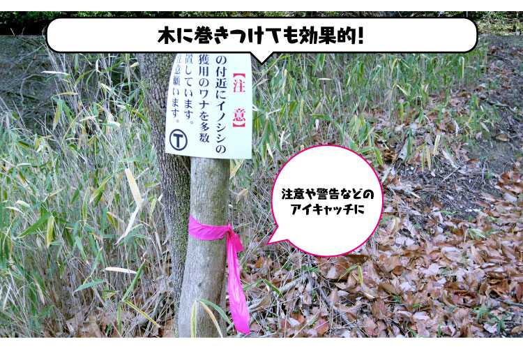 �؂Ɋ������Ă����ʓI