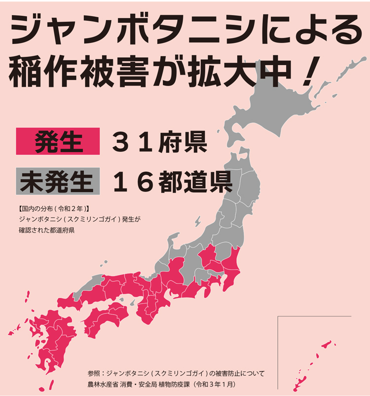 �X�N�~�����S�K�C�̍������z