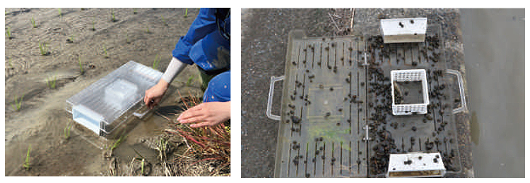 �X�N�~�b�`�̎g�p�C���\�W