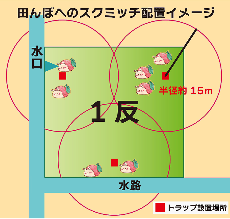 �X�N�~�b�`�̐ݒu�C���\�W