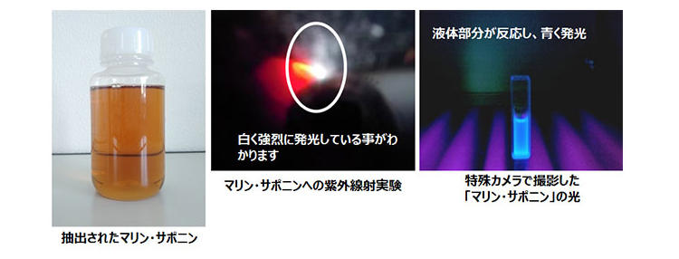 �}�����E�T�|�j���̎���