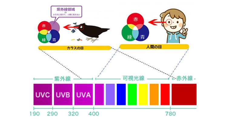 ���O���̈�