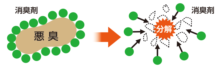 �V���E�f�I