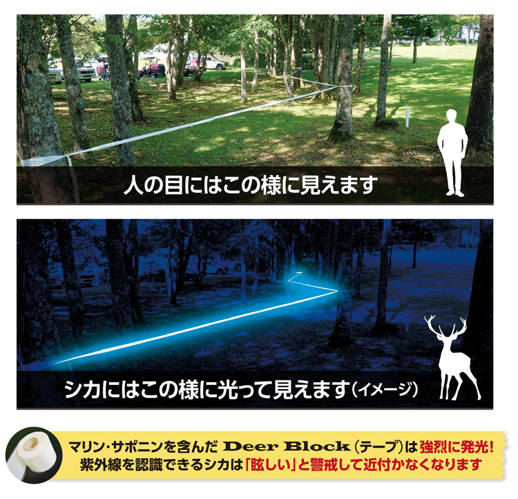 �V�J�ɂ͊����e�[�v�������Č�����