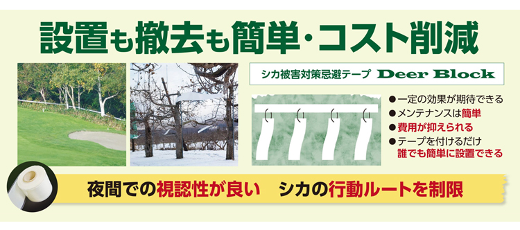 �ݒu���P�����ȒP