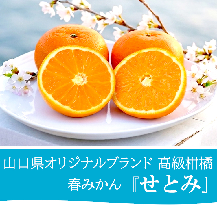 ���Ƃ� 6�� �M�t�g�{�b�N�X����̏��i�摜