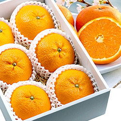 ���Ƃ� 6�� �M�t�g�{�b�N�X����