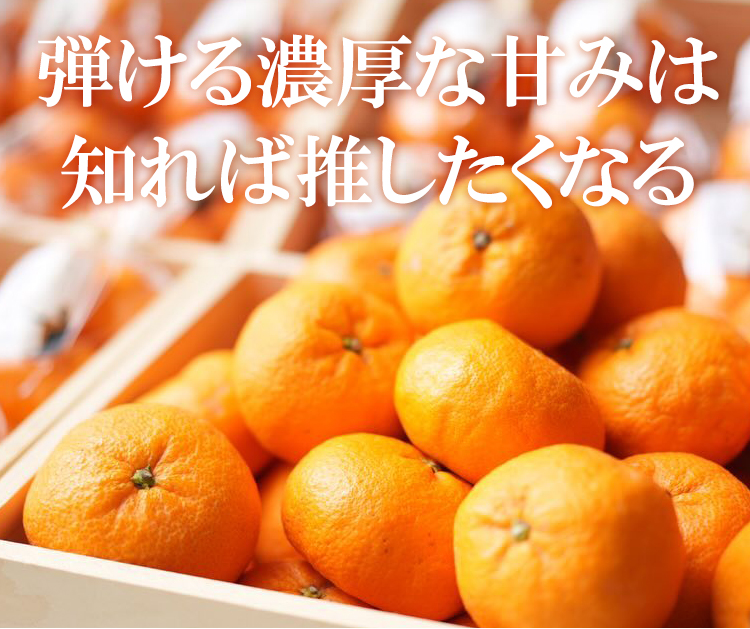 �e����Z���ȊÂ�