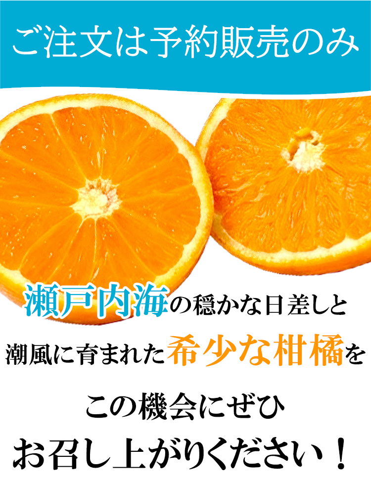 �������͗\��̔��̂�