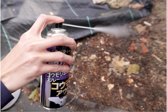 コウモリアウトEXの商品画像