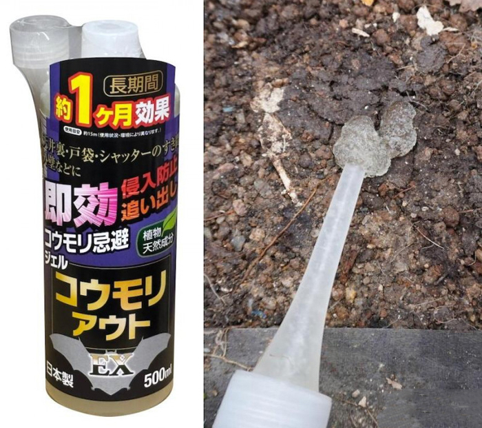 コウモリアウトEXの商品画像