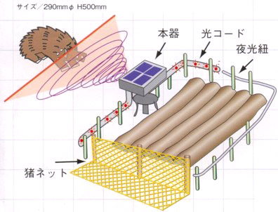 ������ӂ̏��i�摜