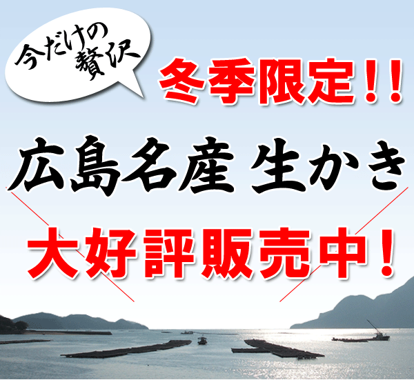 冬季限定!広島名産生かき