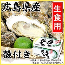 広島県産 生食用殻付かき 説明写真１
