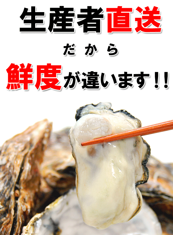 生産者直送だから鮮度が違います!