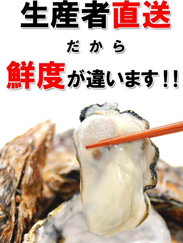 生産者直送だから鮮度が違います!