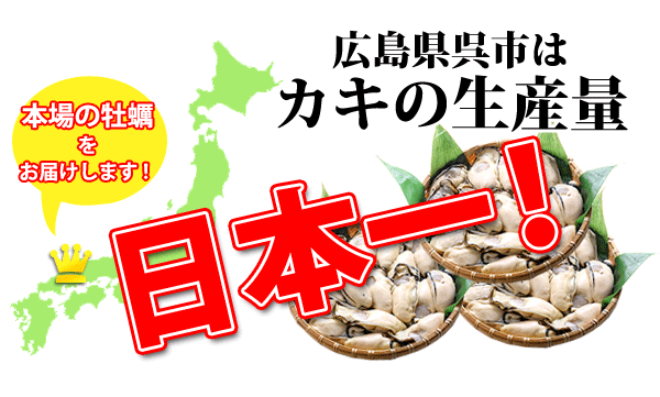 呉はカキの生産量日本一!