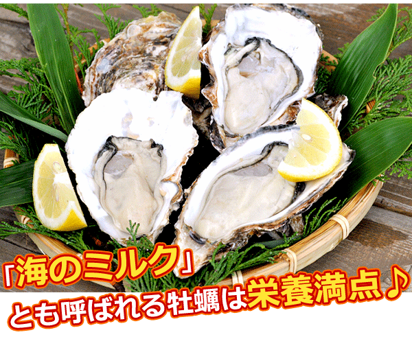 牡蠣は栄養満点♪